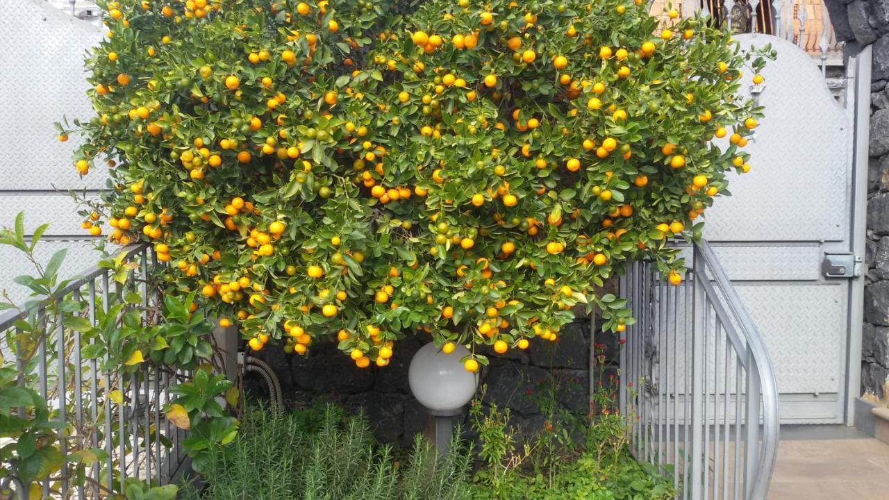 B&B Villa Liliya Fiumefreddo di Sicilia Eksteriør bilde
